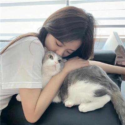 贵妃还乡